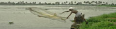 Kuttanadu-traditional-fishing