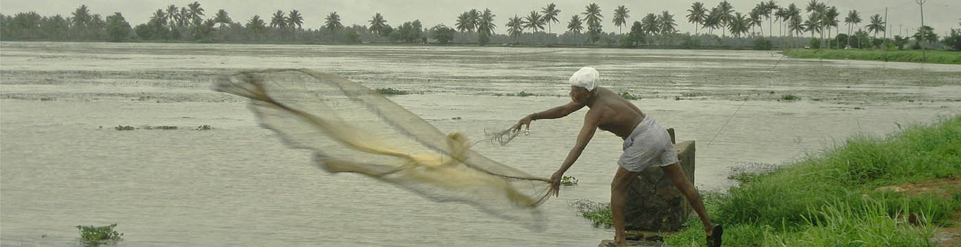 Kuttanadu-traditional-fishing